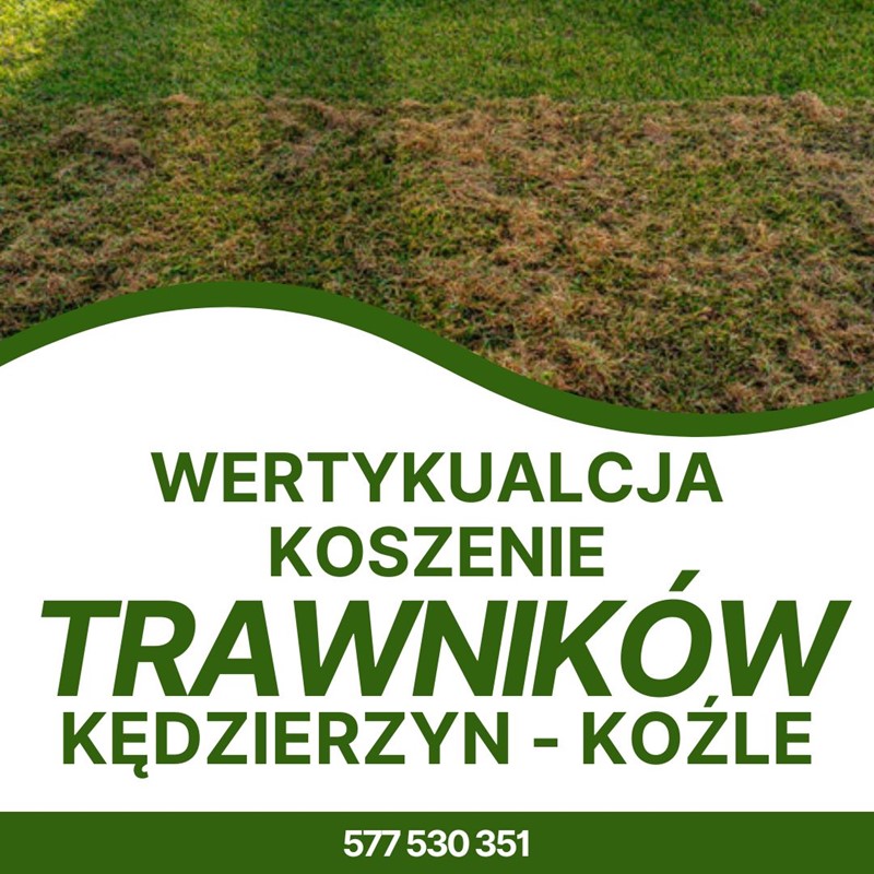 Koszenie, wertykulacja, glebogryzarka - trawnik Kędzierzyn-Koźle